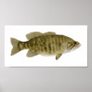 Search for carp fishing posters Lake