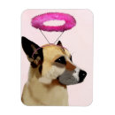 Search for halo magnets Flowers