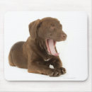 Recherche de chocolat labrador tapis souris Brun