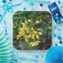 Search for environment paper plates Nature