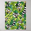 Search for primate art Madagascar