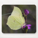 Search for moth mousepads Leaf