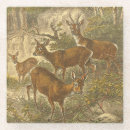 Recherche de cerfs communs dessous de verres Arbre