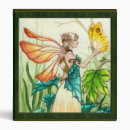 Search for forest fairy binders Butterfly