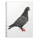 Search for pigeon notebooks Dove