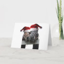 Search for equestrian christmas cards Santa claus