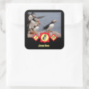 Search for atlantic puffin stickers Bird