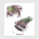 Search for froggie stickers Amphibian