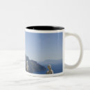 Search for villas mugs Italy