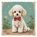 Recherche de papillon blanc posters Jardin