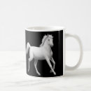 Recherche de chevaux arabes tasses Équin