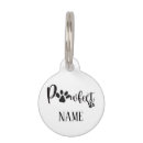 Recherche de chiens médaillons Balise cat