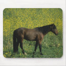 Recherche de mustang sauvage tapis souris Équestre