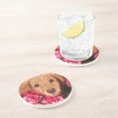 Recherche de teckel dessous de verres Doxie