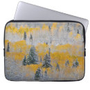 Search for aspen electronics Snow