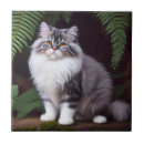 Recherche de persans carreaux Animal