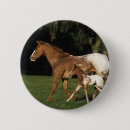 Recherche de poulain de cheval badges Jument et poulain