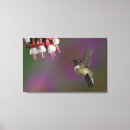 Search for flight canvas prints Wing