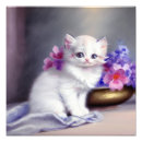 Recherche de chaton adorable posters Moelleux
