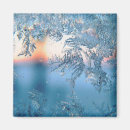Search for flake magnets Winter