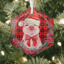 Search for piglet ornaments Cute