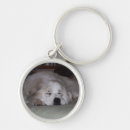 Search for sleeping dog keychains Dogs