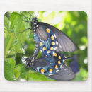 Search for swallowtail mousepads Animals