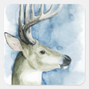 Search for stag stickers Deer