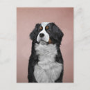 Recherche de bernese vœux cartes Mignon