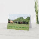 Recherche de humorous anniversaire cartes Photography