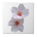 Search for sakura tiles Floral