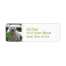 Search for great white return address labels Dog