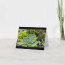 Search for succulent cards Garden