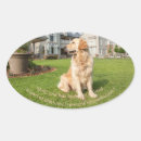 Search for inspirational quote stickers Pet
