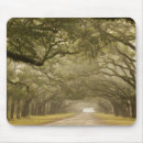 Search for joanne mousepads Nobody