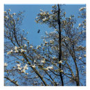 Recherche de printemps posters Ciel