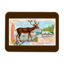 Recherche de chocolate christmas cards Vintage