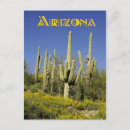Search for cacti postcards Flowers