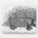 Search for natural history mousepads Animal