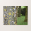Recherche de woods photographie Jardin