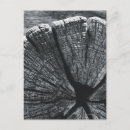 Search for black and white photography postcards Outdoors