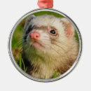 Search for friendly ornaments Animal