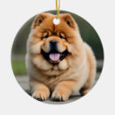 Search for chow ornaments Pets