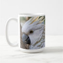Search for australian bird mugs Parrot
