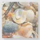 Search for driftwood coasters Beach