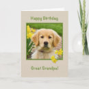 Search for great grandpa birthday cards Grandfather