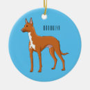 Search for hound dog ornaments Pets
