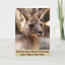Search for kangaroo christmas cards Xmas