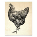 Search for chicken egg posters Black and white