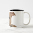Search for american pit mugs Animal